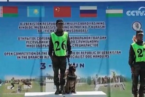  电竞裁判严格执法保障赛事公平