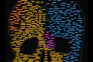  年度最佳评选临近，金球奖归属悬念丛生